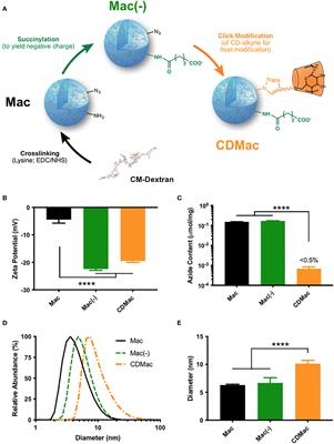 Host-functionalization of macrin nanoparticles to enable drug loading and control tumor-associated macrophage phenotype